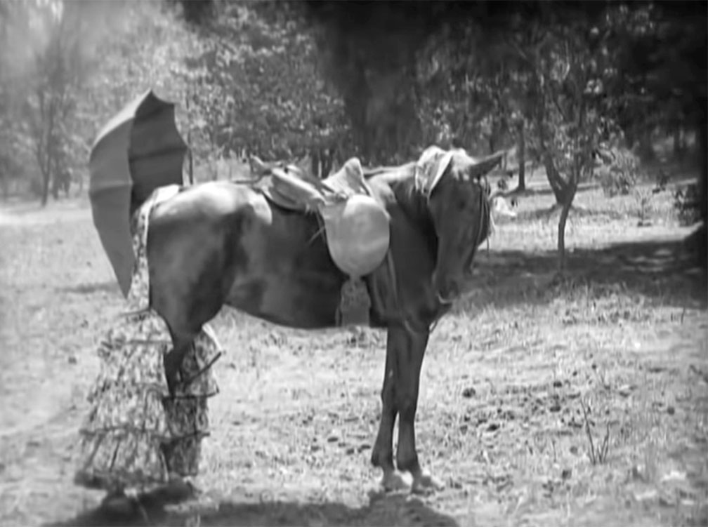 our hospitality horse buster keaton